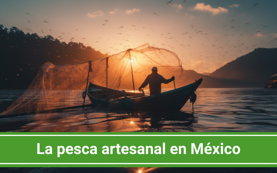 La pesca artesanal en México: desafíos y amenazas