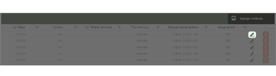 Editar vehículo